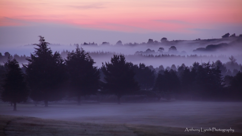Mist hovering over fields in Wicklow (Pic: Anthony Lynch)
