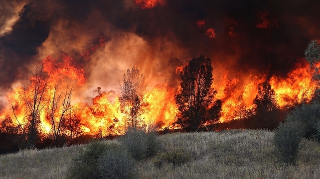 A wildfire burns through a grove of trees near Clearlake, California