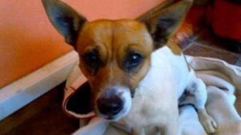 Marvin died after he was attacked last weekend