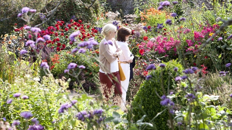 One of Ireland's hidden treasures, Altamont Gardens, are open to the public and they're free.