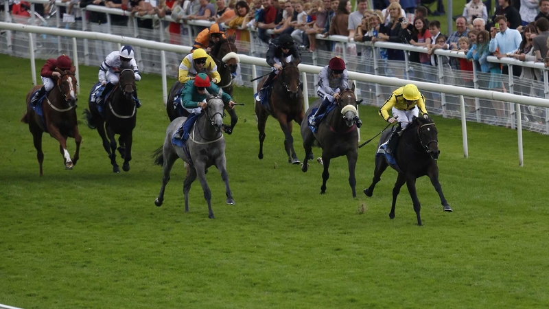 Besharah (yellow silks) will contest the Group One Cheveley Park Stakes at Newmarket on her next start