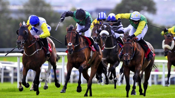 Modem (green and black silks) is expected to outrun his odds in the feature race