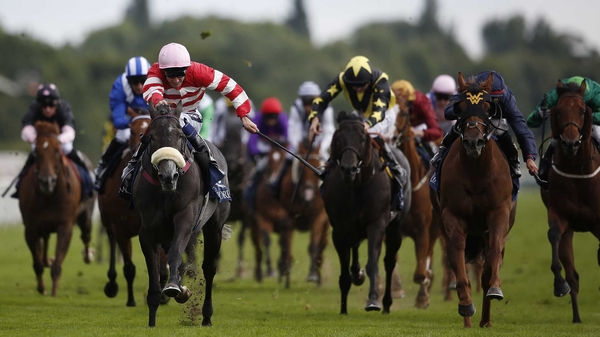 Mecca's Angel (sheepskin noseband) relished the return to softer ground at York
