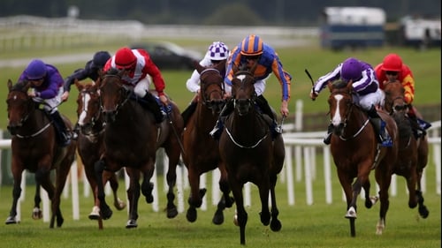 Ballydoyle looks likely to be a short-priced favourite for the Moyglare Stud Stakes
