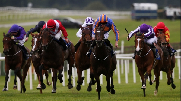 Ballydoyle looks likely to be a short-priced favourite for the Moyglare Stud Stakes