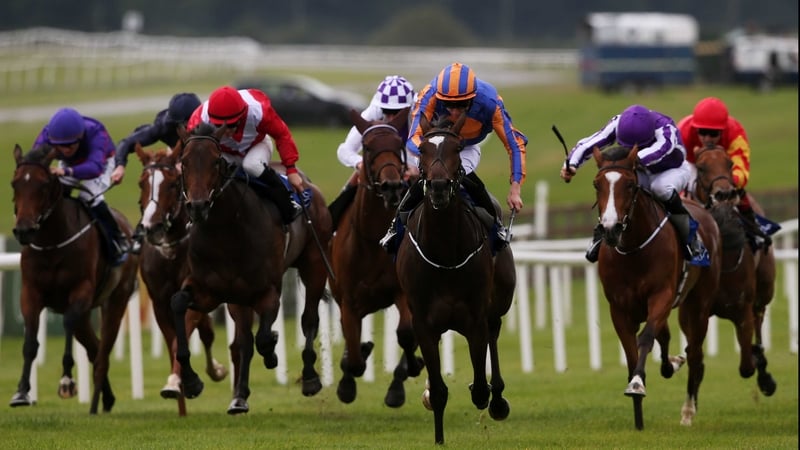 Ballydoyle is a best-price 10-1 for next season's 1000 Guineas