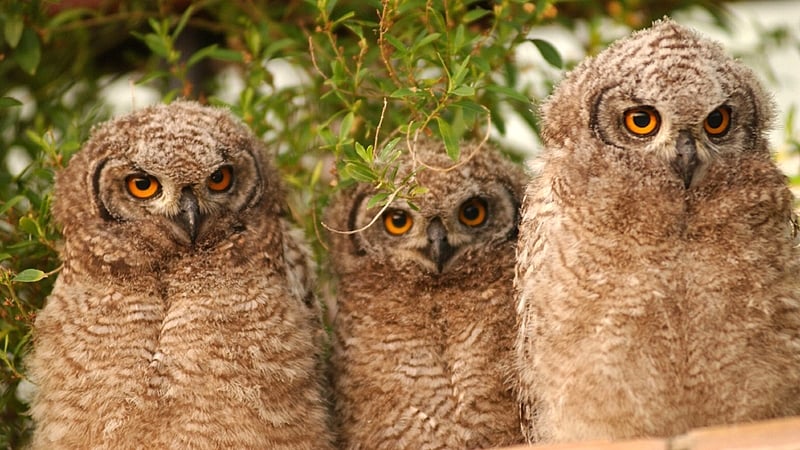 This had better be good