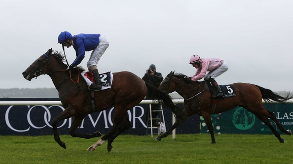 Herald The Dawn is a 20-1 shot with most firms for next season's 2,000 Guineas