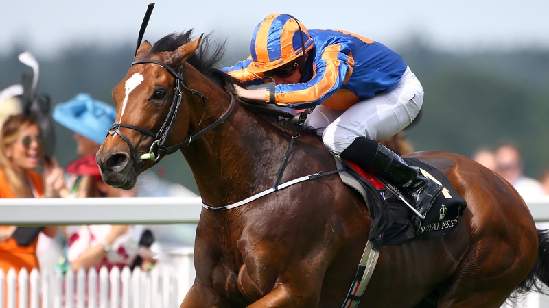 Since having been beaten on his racecourse debut, Gleneagles has finished first past the post in all eight of his subsequent starts