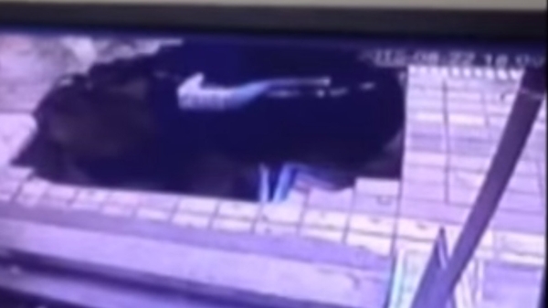 The sinkhole opened up in the pavement