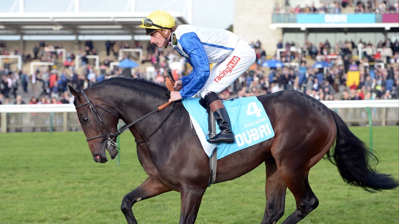 Kodi Bear won the Sovereign Stakes in a fast time on his most recent start