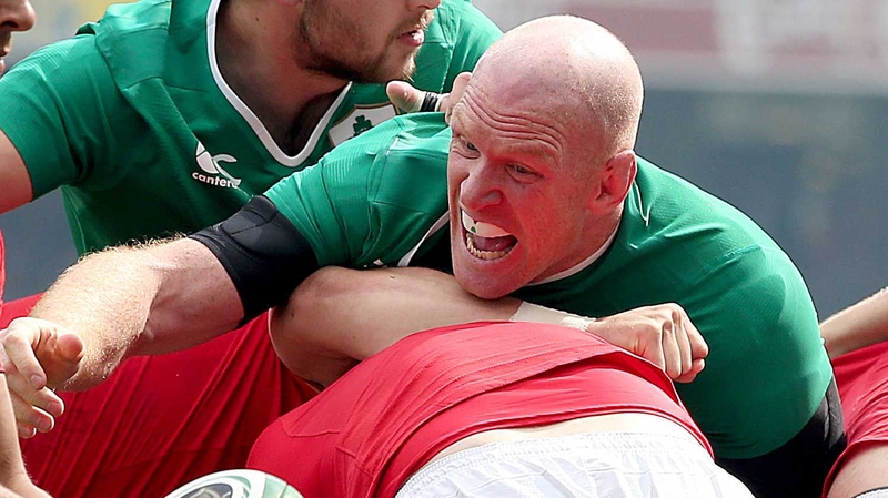 Paul O'Connell paid tribute to the Irish fans after the game