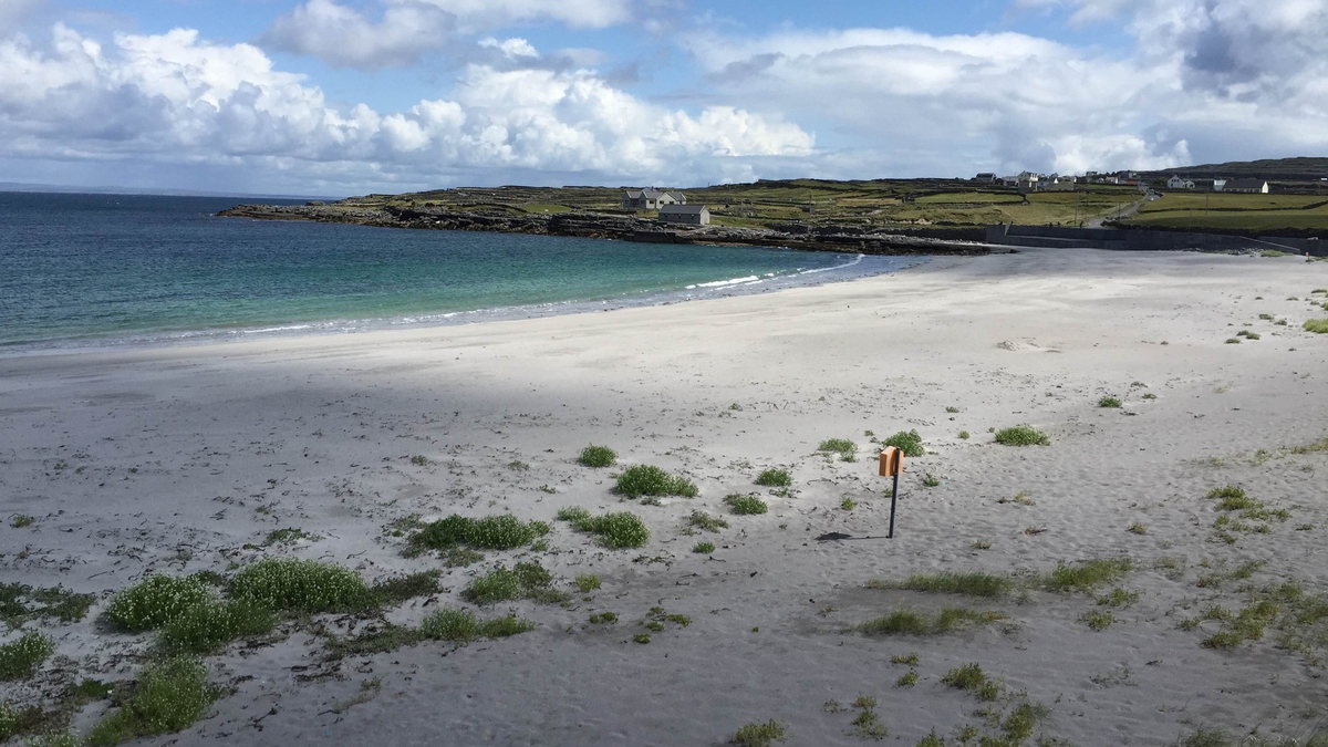 Micheál Ó Goill, ó Comharchumann Forabartha Árann. 