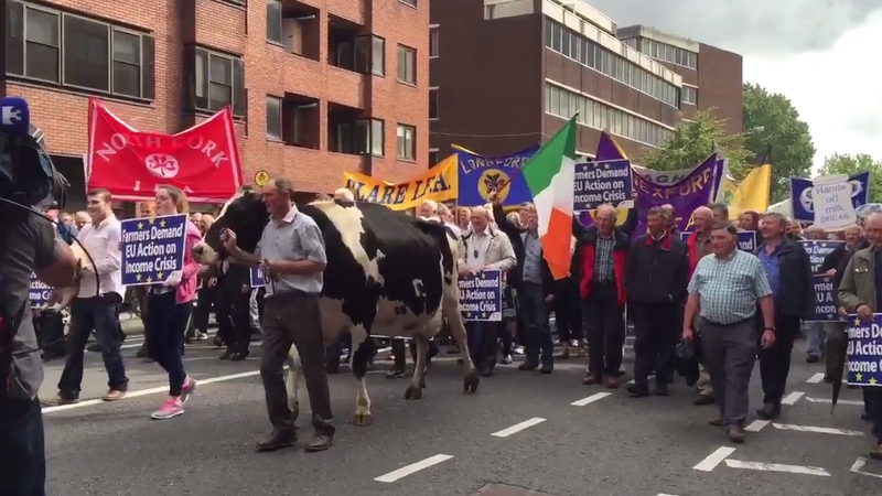 Farmers are appealing for the European Union to intervene and protect farm incomes