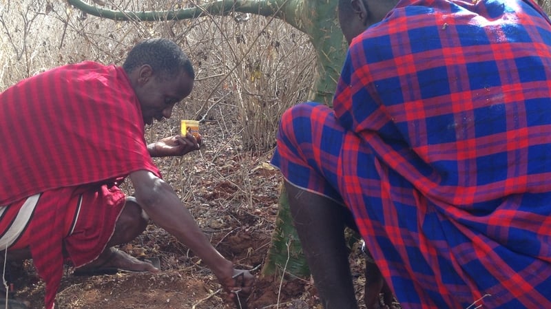 An idea that originated in Ireland more than 50 years ago is now putting down roots in East Africa