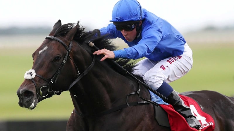 It'll be a family affair in the September Stakes as Jack Hobbs will face his half-brother Niceofyoutotellme