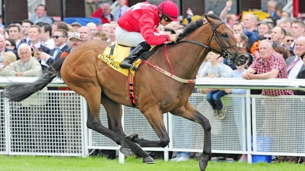 Gordon Lord Byron is a general 8-1 chance for the feature at Haydock