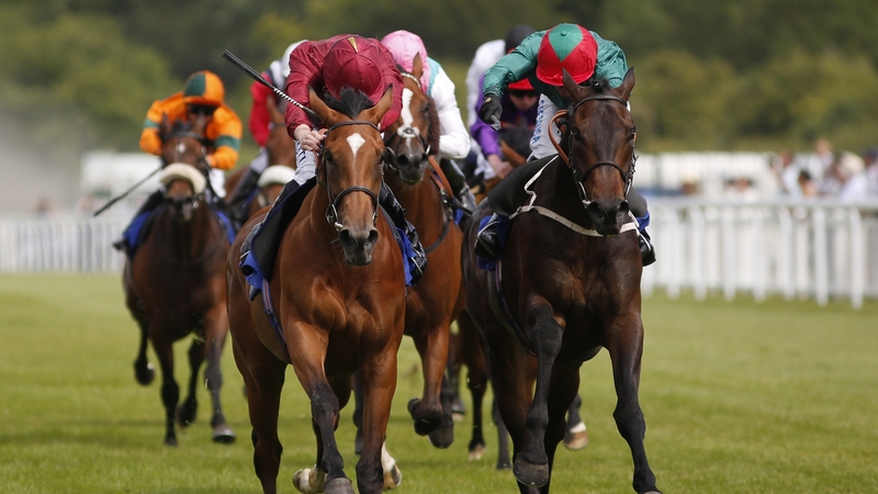 Simple Verse (l) could become the first filly to win the race in 23 years after connections stumped up £50,000 to add her to the field