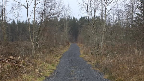 Delays have held up the proposed project in Athenry