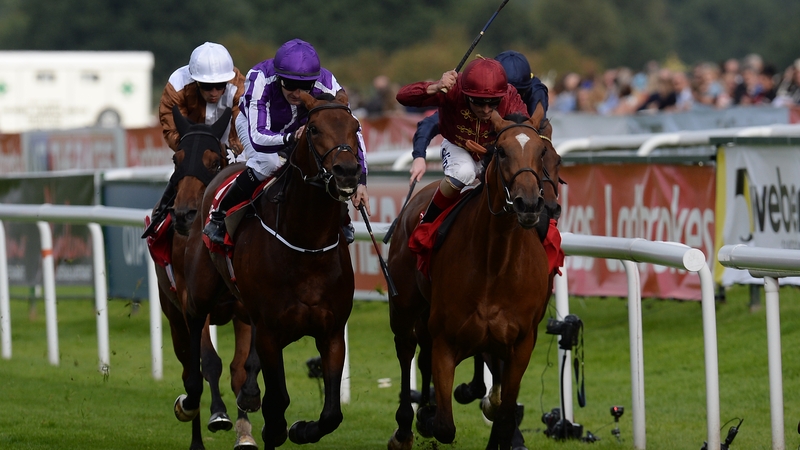 Bondi Beach (L) and Simple Verse in the closing stages of the St Leger at Doncaster
