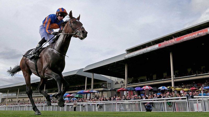 Aidan O'Brien's Irish St Leger winner is ante-post favourite for the Ascot Gold cup