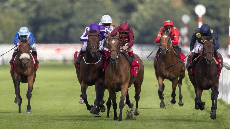 Bondi Beach and Simple Verse have a coming together of sorts during the Doncaster Leger