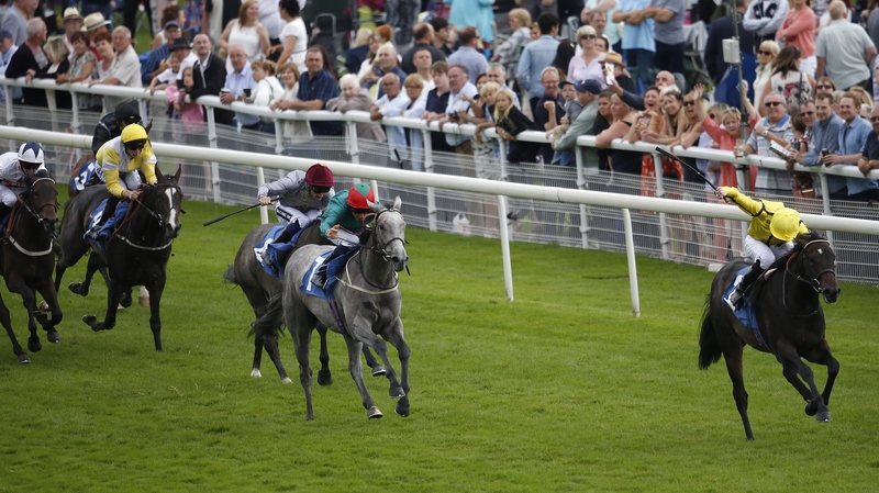 Besharah (yellow silks) will race beyond six furlongs for the first time on Saturday