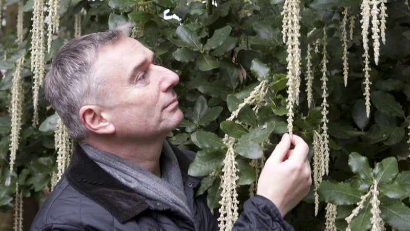 Dermot O'Neill 'overwhelmed' by honour