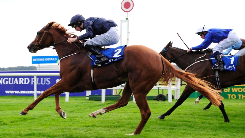 Coolmore can be backed at 6-1 for the Nell Gwyn Stakes