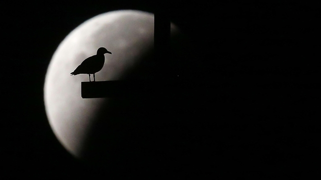 The supermoon during a lunar eclipse above St Peter's Basilica, in Rome, Italy