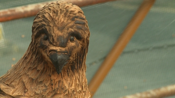 Tree sculpture project turning heads in Dublin