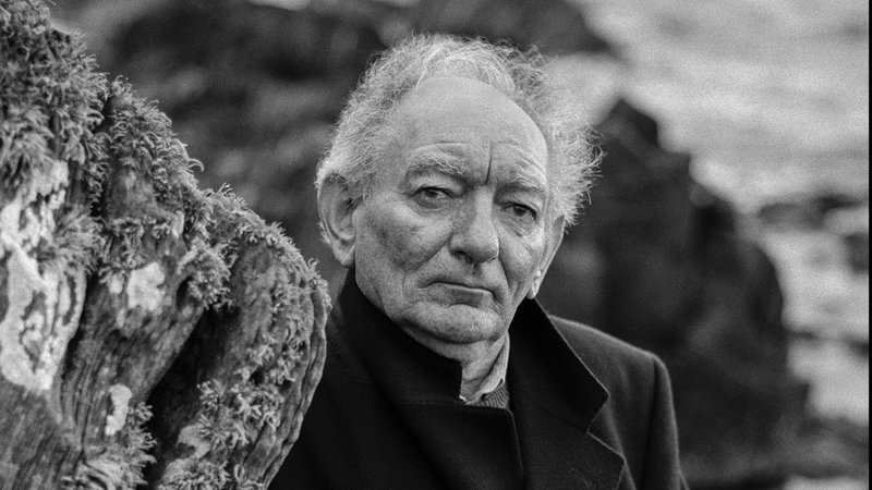The late Brian Friel Pic: Courtesy Bobbie Harvey