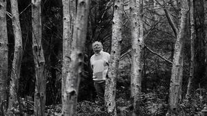 Friel in the woods