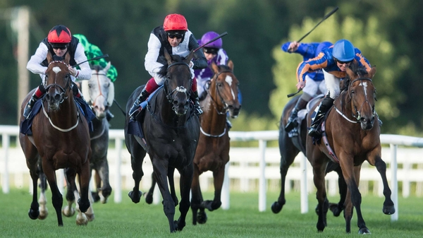 Irish Champions Stakes winner Golden Horn will face Found and Free Eagle for a second time in less than a month on Sunday