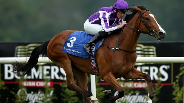 Seamie Heffernan on board Minding winning the Irish Stallion Farms European Breeders Fund Fillies Maiden at Leopardstown