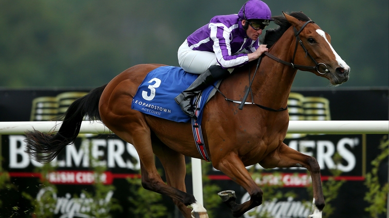 Seamie Heffernan on board Minding winning the Irish Stallion Farms European Breeders Fund Fillies Maiden at Leopardstown