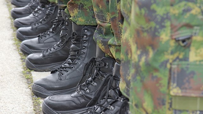 The Defence Forces are also seeking additional staff to meet what they say are operational commitments