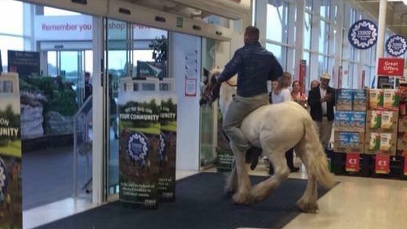 Onlookers said the horse got no further than a couple of yards inside the door of Tesco