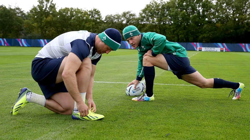 Ian Madigan and Luke Fitzgerald at Ireland training this week