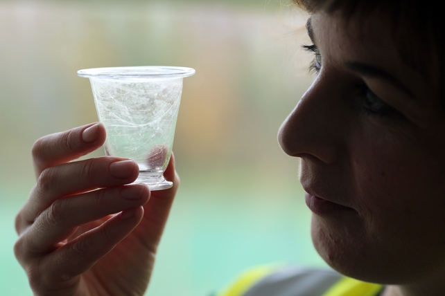 Experts are examining the finds