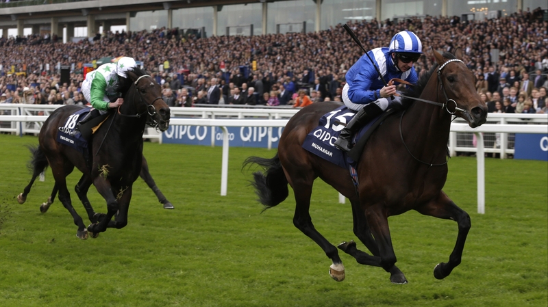 Muhaarar comes home first
