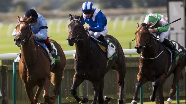 Foundation (cross noseband) is a general 14-1 shot for next season's Derby