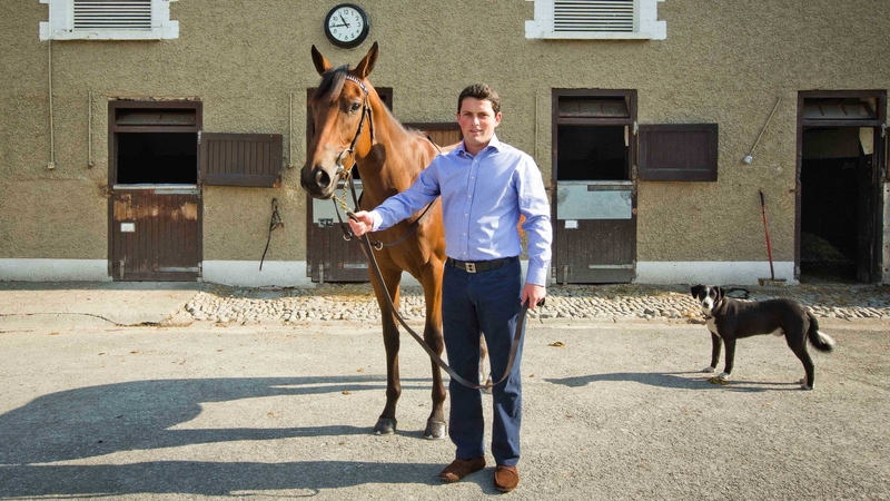 Michael O'Callaghan at Crotanstown Stud, Co Kildare
