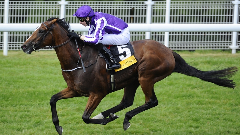 Highland Reel looks set to be in action at Ascot