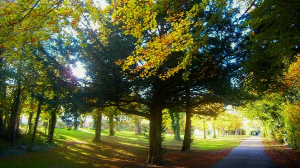 Deerpark, Mount Merrion, Dublin (Pic: Sandra Fenner)