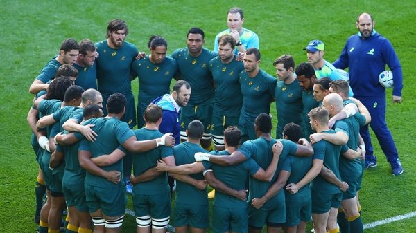 Michael Cheika has reaffirmed his commitment to the Wallabies
