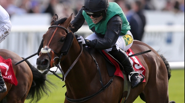 Modem ridden by Kate Harrington comes home to win at Ballybritt in July