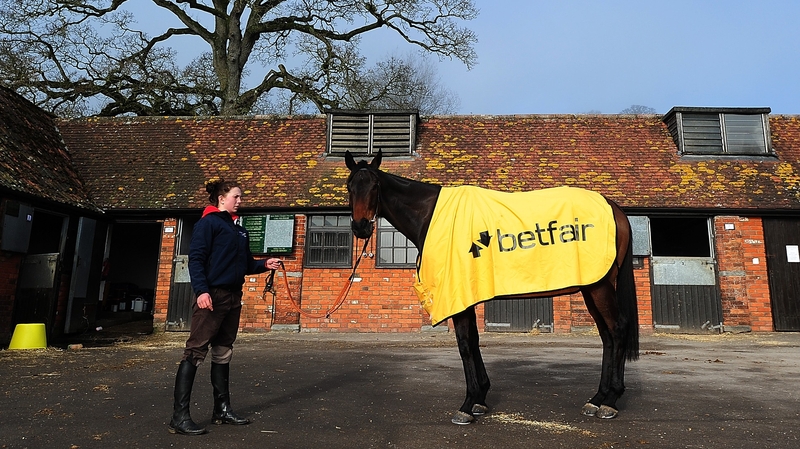 Ptit Zig is paraded at Manor farms Stables in Ditcheat