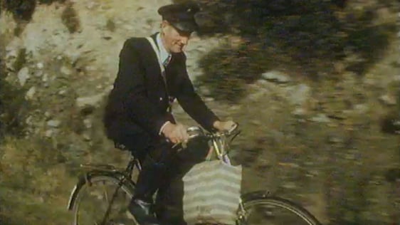 Mike Sheehan
