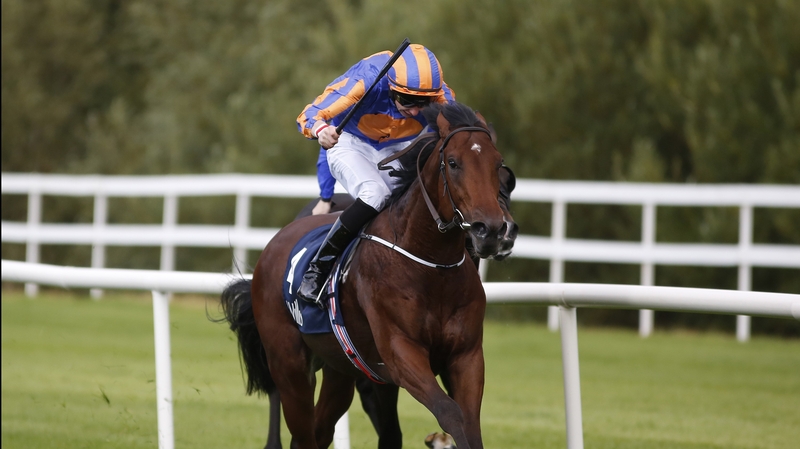 Johannes Vermeer under Joseph O'Brien at Leopardstown earlier this year